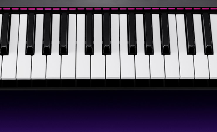 Light Guide Komplete Kontrol S61 MK3